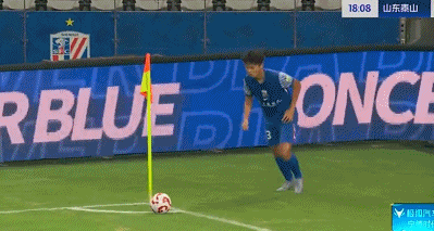 gif, 泽卡都在对
